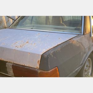 Car Carrying